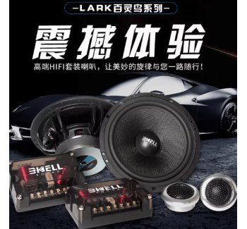 霸克LA6.3三分频