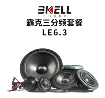 霸克LE6.3三分频