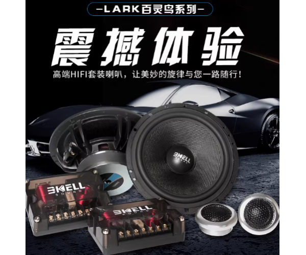 霸克LA6.3三分频