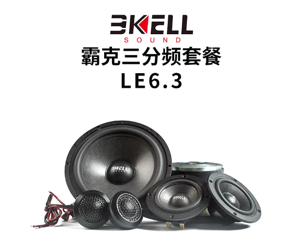 霸克LE6.3三分频